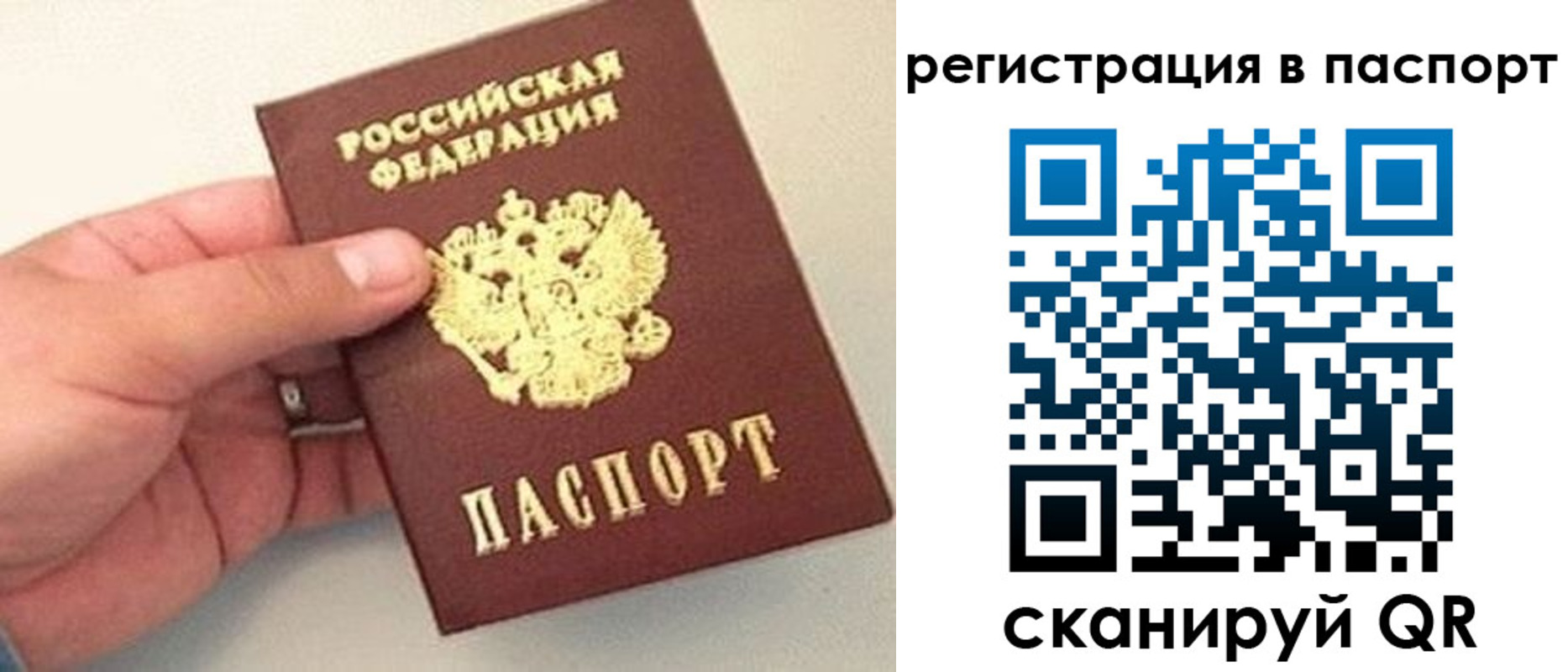 прописка законно в Майкопе